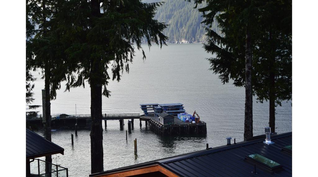 Pair-A-Dice Cottage Port Renfrew Bilik gambar
